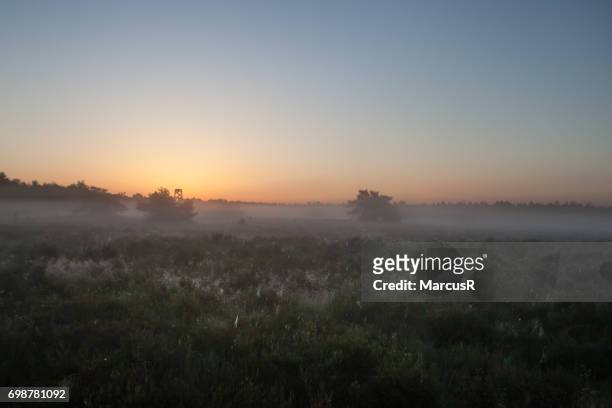 zonsopgang bij de stakenberg - nevels en gaswolken stock-fotos und bilder