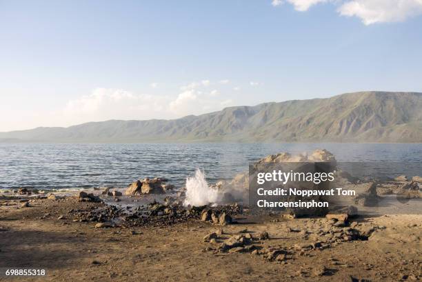 lake bogoria, kenya, africa - lago bogoria foto e immagini stock