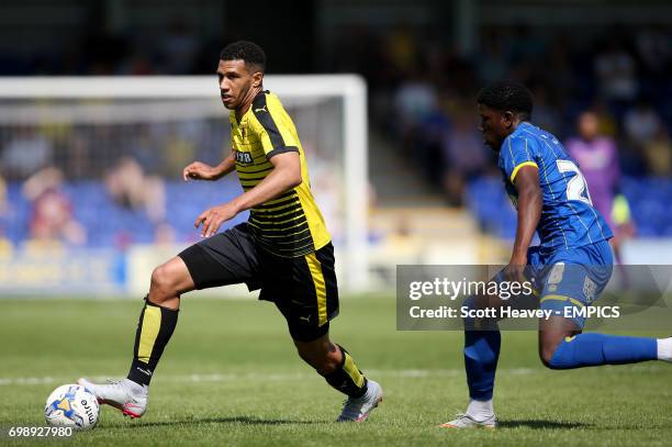 Watford's Etienne Capoue in action