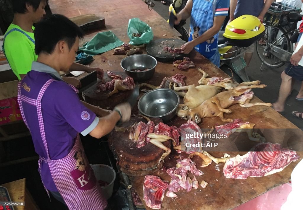 CHINA-ANIMAL-CULTURE