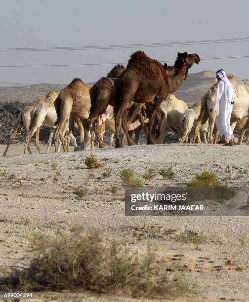 Samrah 197 Samrah Stock Photos, High-Res Pictures, and Images - Getty Images