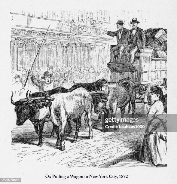driving an ox cart in new york victorian engraving, 1872 - grand central station stock illustrations
