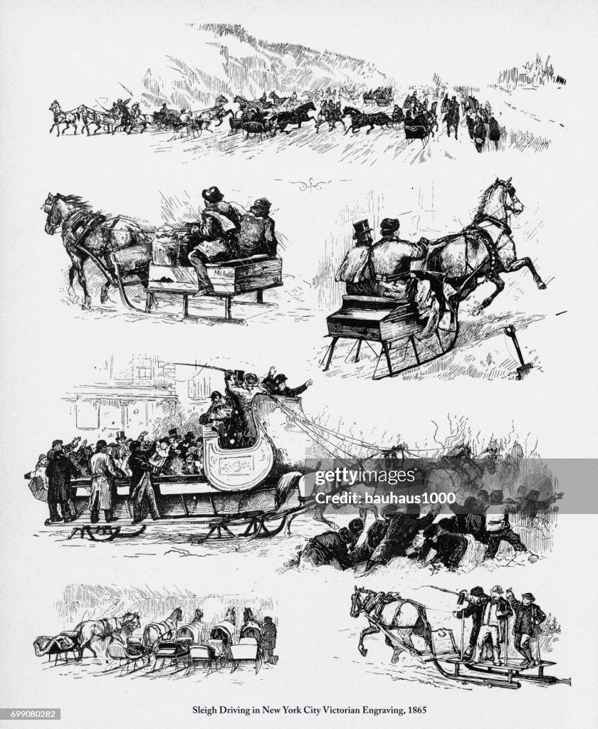Sleigh Driving in New York City Victorian Engraving, 1865