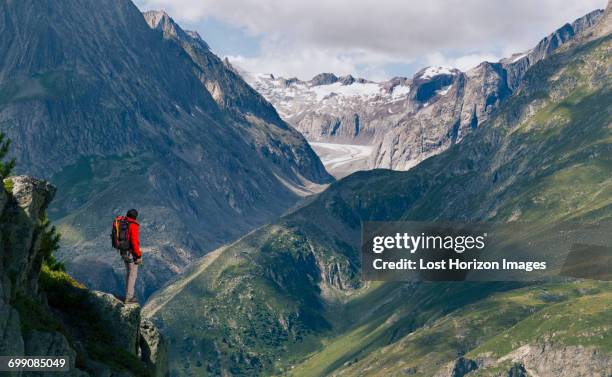 lone male climber looking out from ridge, aletsch glacier, canton wallis, switzerland - aletsch glacier stock pictures, royalty-free photos & images