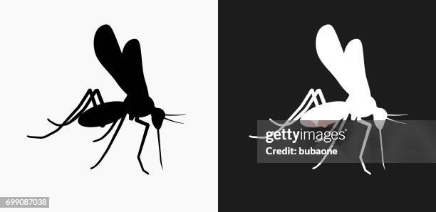 moskito-symbol auf schwarz-weiß-vektor-hintergründe - parasit stock-grafiken, -clipart, -cartoons und -symbole