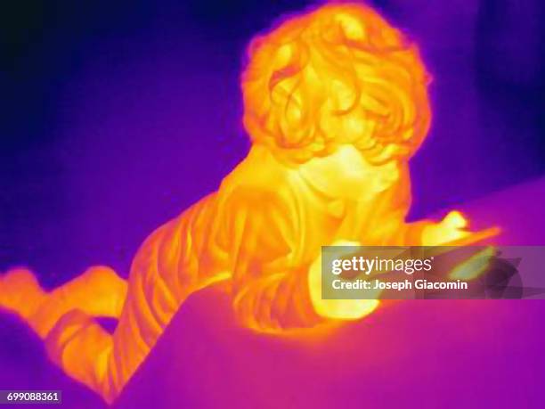 thermal image of male toddler looking at digital tablet - thermal imaging stock pictures, royalty-free photos & images