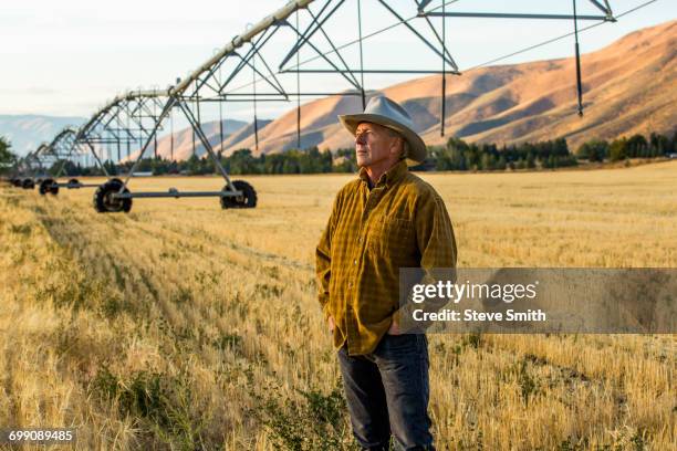 caucasian farmer standing near irrigation equipment - hay stock pictures, royalty-free photos & images