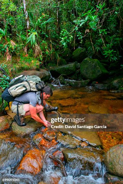 man drinking fresh water from river in mount roraima, tepui, venezuela - tepui venezuela stock pictures, royalty-free photos & images