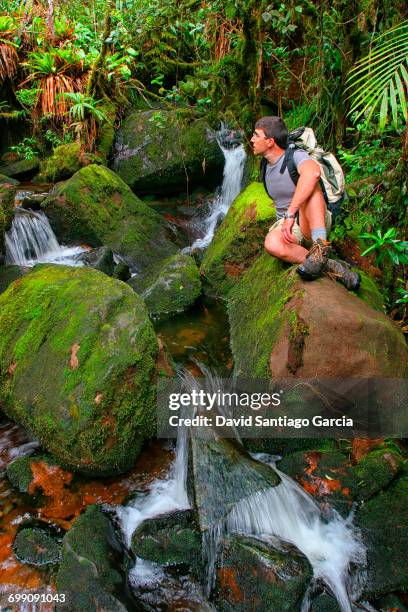 man relaxing on rock in the forest of mount roraima, tepui, venezuela - bolivar stock pictures, royalty-free photos & images