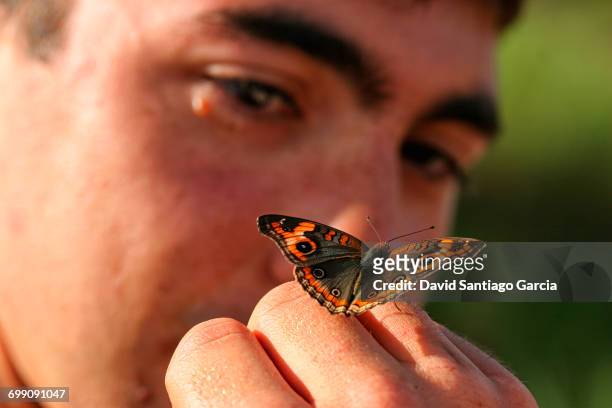 tourist looking at butterfly on hand in roraima tepui, venezuela - bolivar ストックフォトと画像