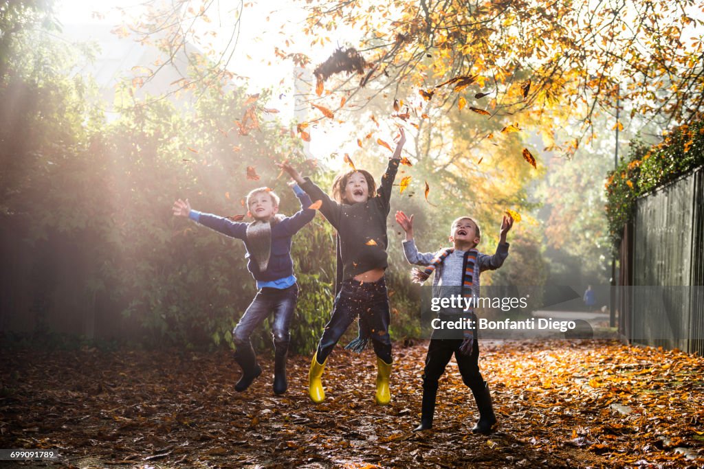 Three young boys, playing outdoors, throwing autumn leaves