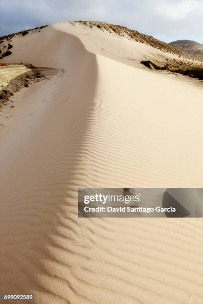 spain, canary islands, fuerteventura, risco del paso, view to playa de sotavento - risco stock pictures, royalty-free photos & images