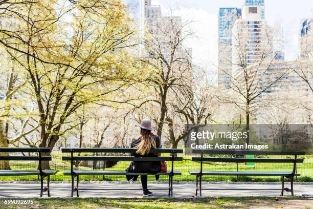 rear view of woman sitting on bench at central park in city - central park manhattan stock-fotos und bilder
