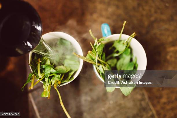 sweden, stockholm, gamla stan, boiling water being poured into cups with leaves - fika stock pictures, royalty-free photos & images