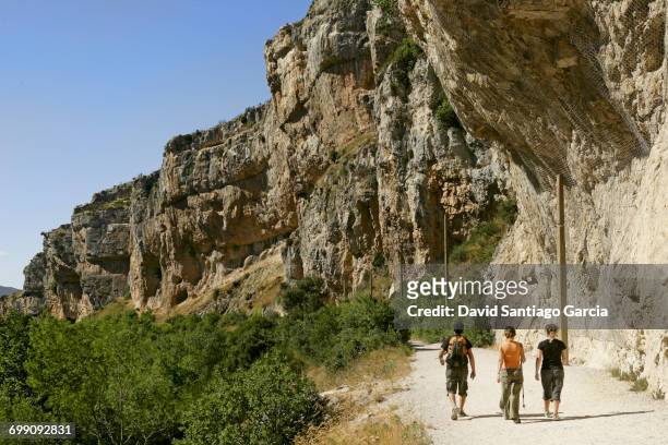 canyon path, foz de lumbier, lidena, navarre, spain - camino de santiago pyrenees stock pictures, royalty-free photos & images
