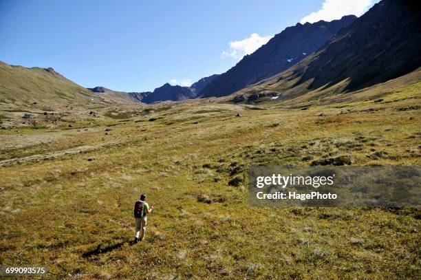 backpacking alaska chugach mountains - chugach state park stock-fotos und bilder