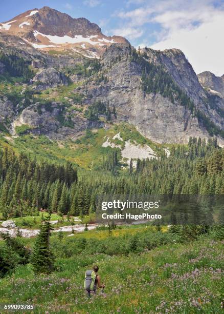 backpacking glacier peak wilderness - wildnisgebiet glacier peak stock-fotos und bilder