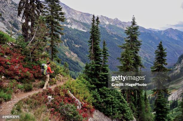 backpacking glacier peak wilderness - wildnisgebiet glacier peak stock-fotos und bilder