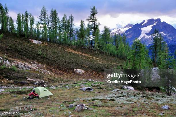 backpacking west rim trail pennsylvania - wildnisgebiet glacier peak stock-fotos und bilder