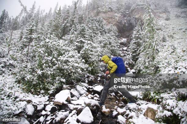 backpacking glacier peak wilderness - wildnisgebiet glacier peak stock-fotos und bilder