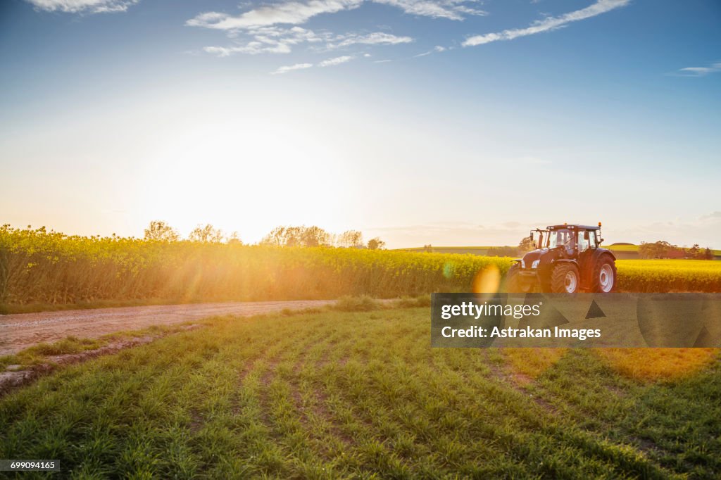 Tractor on dirt road amidst field during sunset