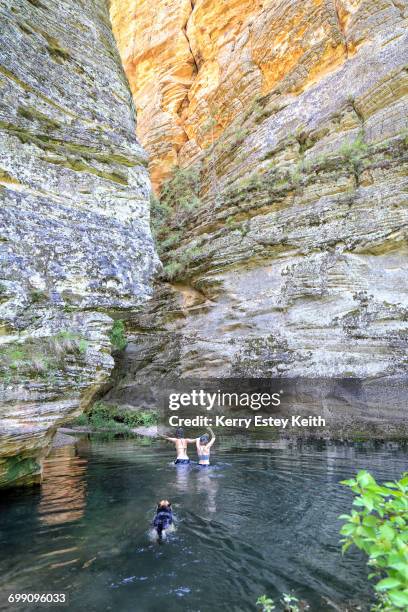 two girls swim into sundance slot canyon, arizona with their dog. - kerry estey keith stock pictures, royalty-free photos & images