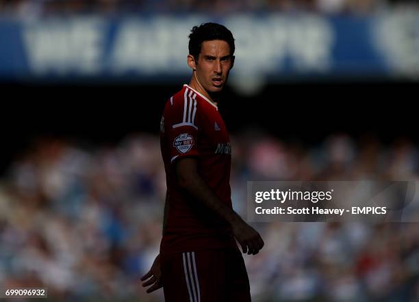 Cardiff City's Peter Whittingham