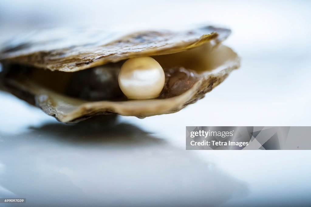 Pearl inside oyster shell