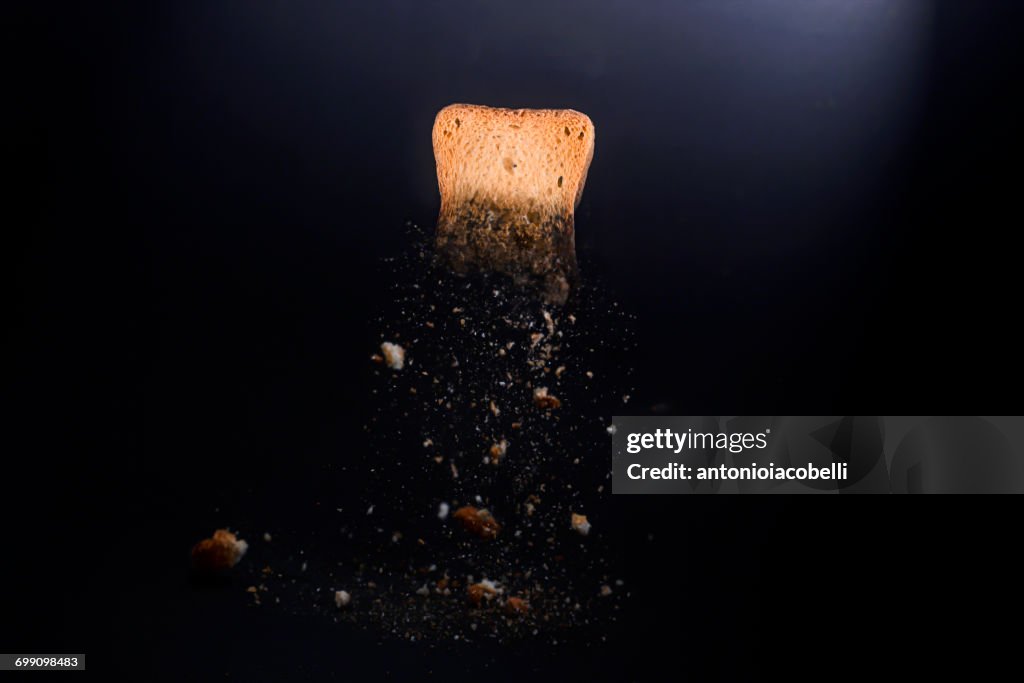 Piece of toast with breadcrumbs