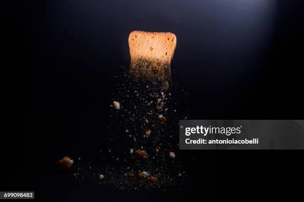 piece of toast with breadcrumbs - smula bildbanksfoton och bilder