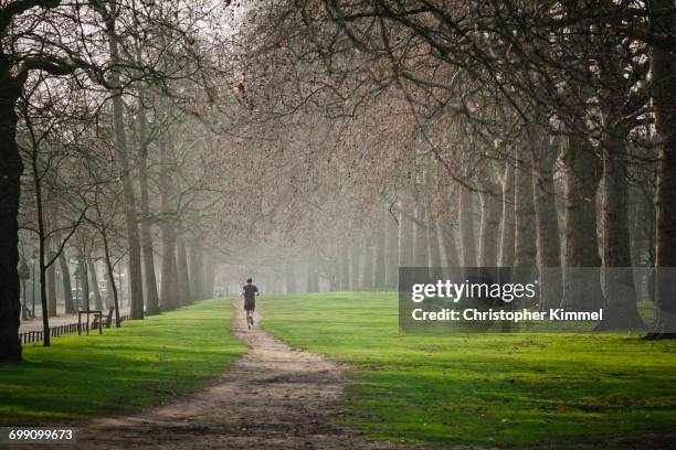 running in hyde park. - hyde park londen stockfoto's en -beelden