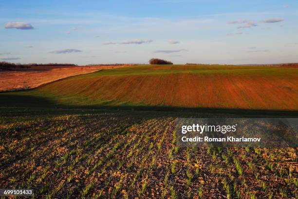 Novomoskovsk Ukraine Photos and Premium High Res Pictures Getty Images