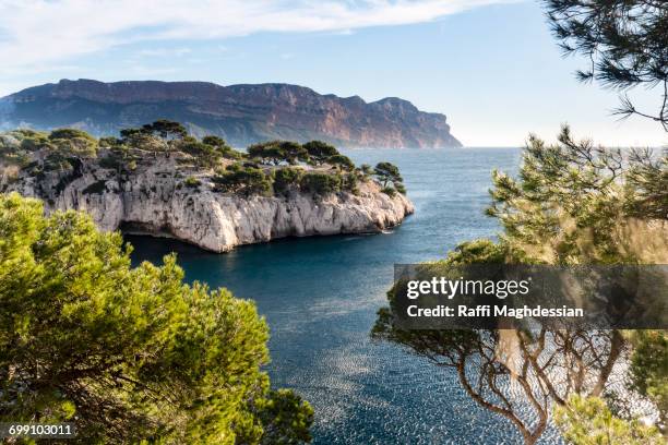 scenic view of calanque and the mediterranean sea framed by pine trees - côte d'azur stock-fotos und bilder
