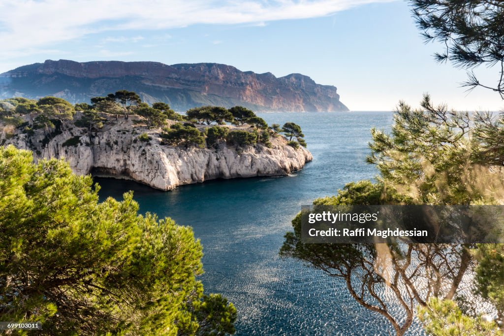 Scenic View Of Calanque And The Mediterranean Sea Framed By Pine Trees