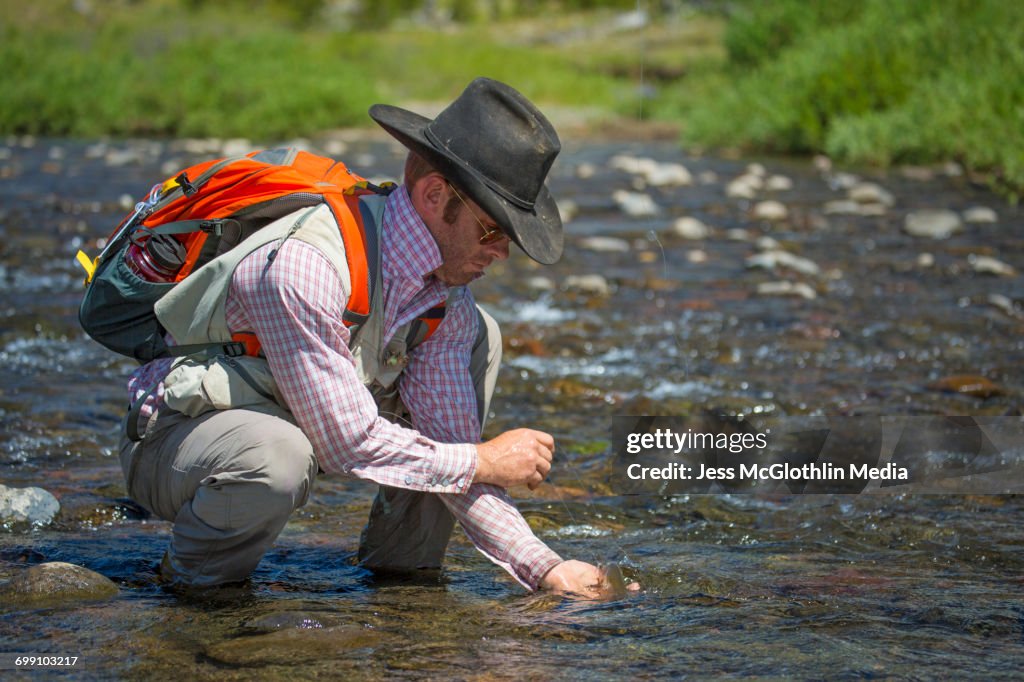 A man releases a Yellowstone cutthroat trout while fly fishing in cowboy hat.