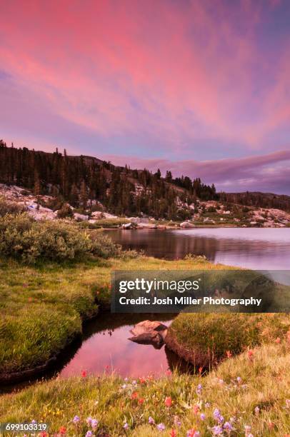 sunset at thousand island lake, ansel adams wilderness area high sierra, california - wildnisgebiet ansel adams stock-fotos und bilder