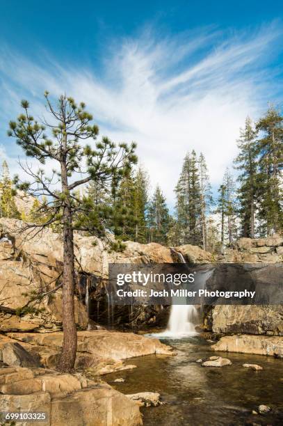 faucherie falls, tahoe national forest - lac bowman photos et images de collection