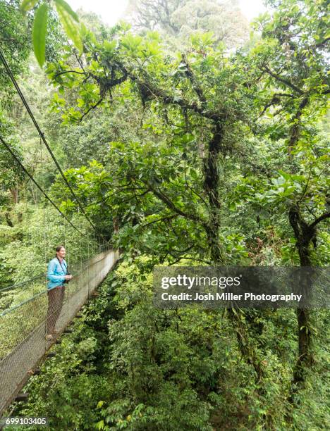 women on sky bridge looking for wildlife in costa rican cloud forest - monteverde cloud forest reserve stock pictures, royalty-free photos & images