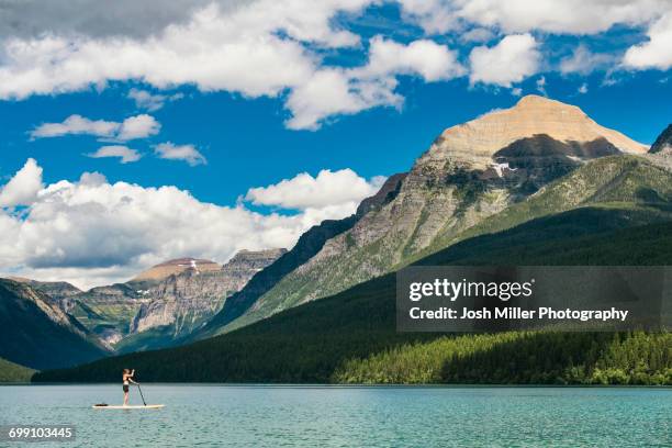 woman paddleboarding in bowman lake in montana, usa - bowman lake stock pictures, royalty-free photos & images