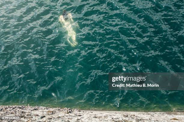 high angle view of a young woman swimming underwater - killarney lake stock pictures, royalty-free photos & images