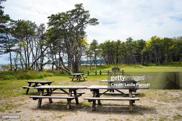 popham beach state park picnic area - popham beach stock pictures, royalty-free photos & images