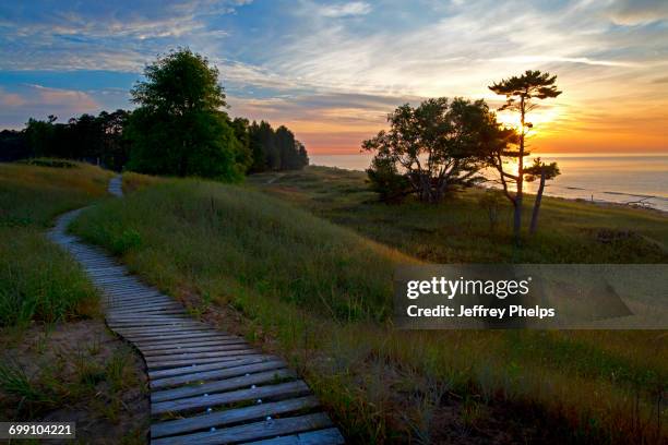 boardwalk - state park stock pictures, royalty-free photos & images