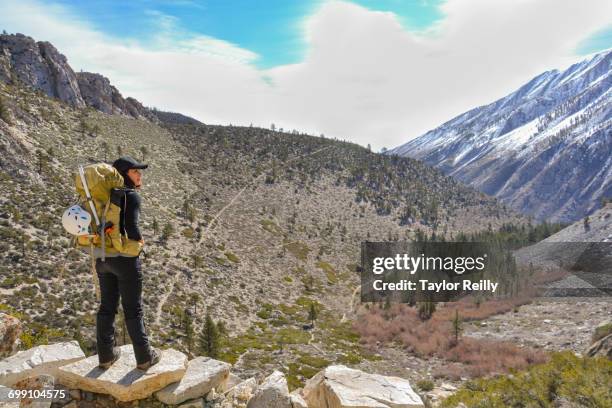 the palisades range, sierra nevada, california - riserva naturale di john muir foto e immagini stock