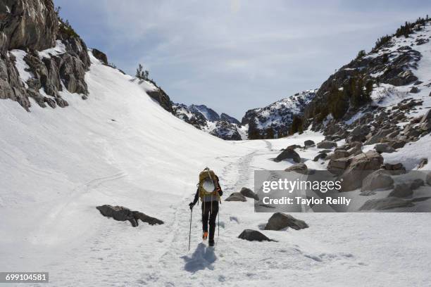the palisades range, sierra nevada, california - riserva naturale di john muir foto e immagini stock