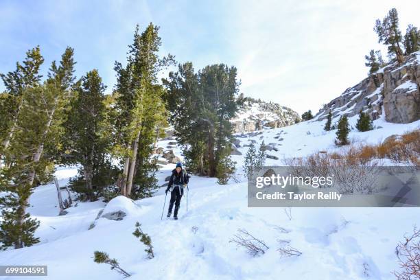 the palisades range, sierra nevada, california - riserva naturale di john muir foto e immagini stock