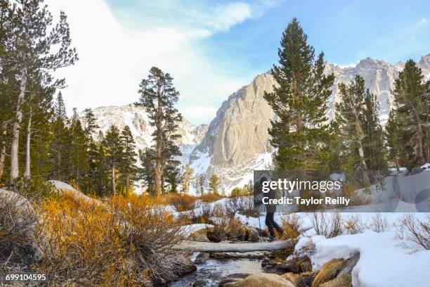 the palisades range, sierra nevada, california - riserva naturale di john muir foto e immagini stock