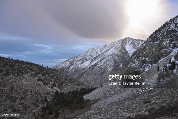 the palisades range, sierra nevada, california - riserva naturale di john muir foto e immagini stock