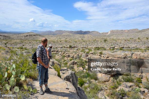 exploring big bend national park - big bend national park stock pictures, royalty-free photos & images