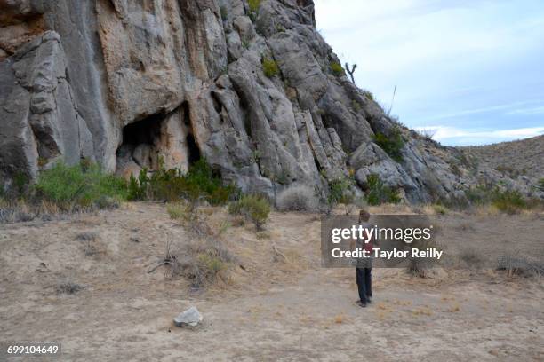 exploring big bend national park - deserto de chihuahua imagens e fotografias de stock