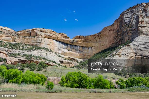 rafting the yampa - monumento nacional dos dinossauros imagens e fotografias de stock